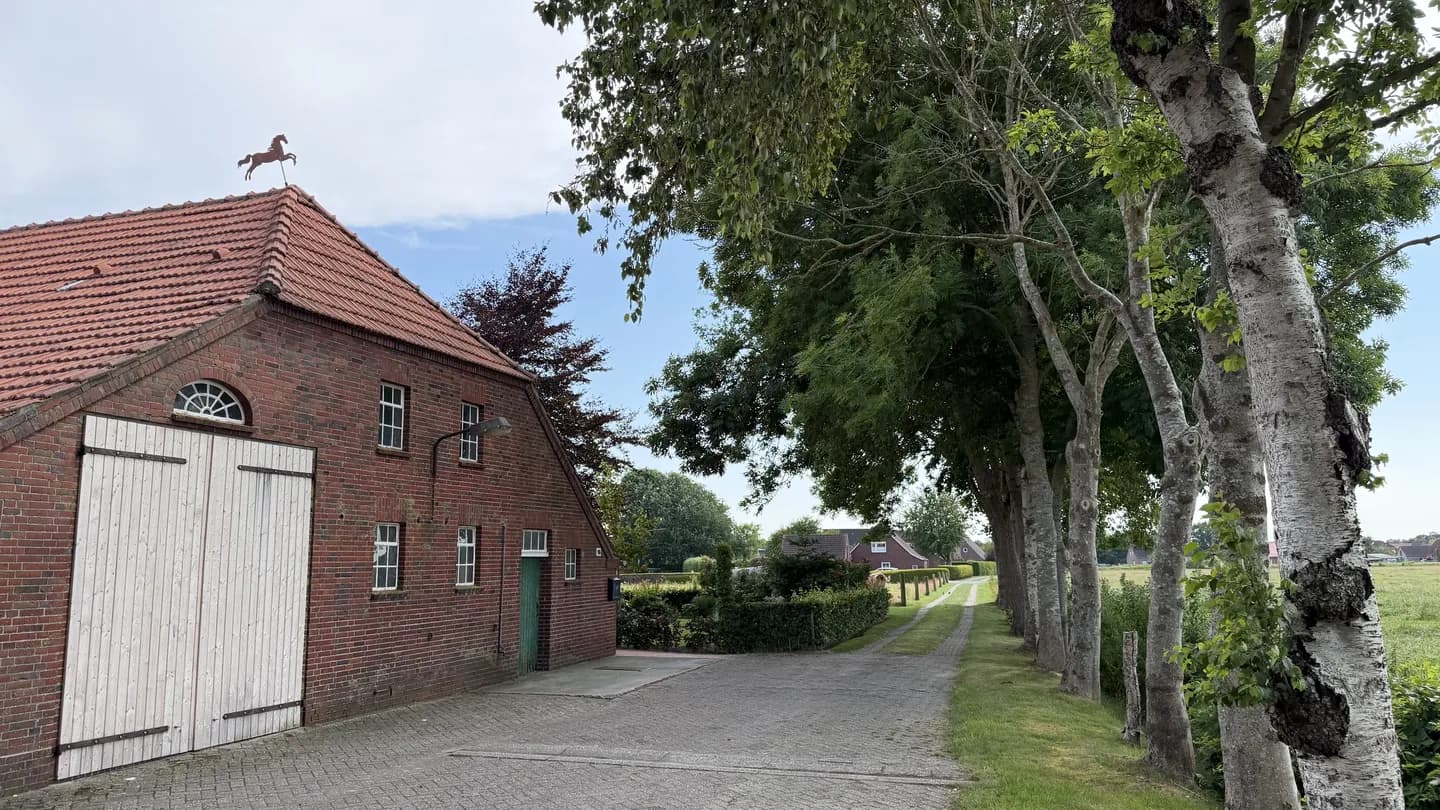 Gepflasterte Hoffläche aus Betonverbundpflaster mit Randbereich