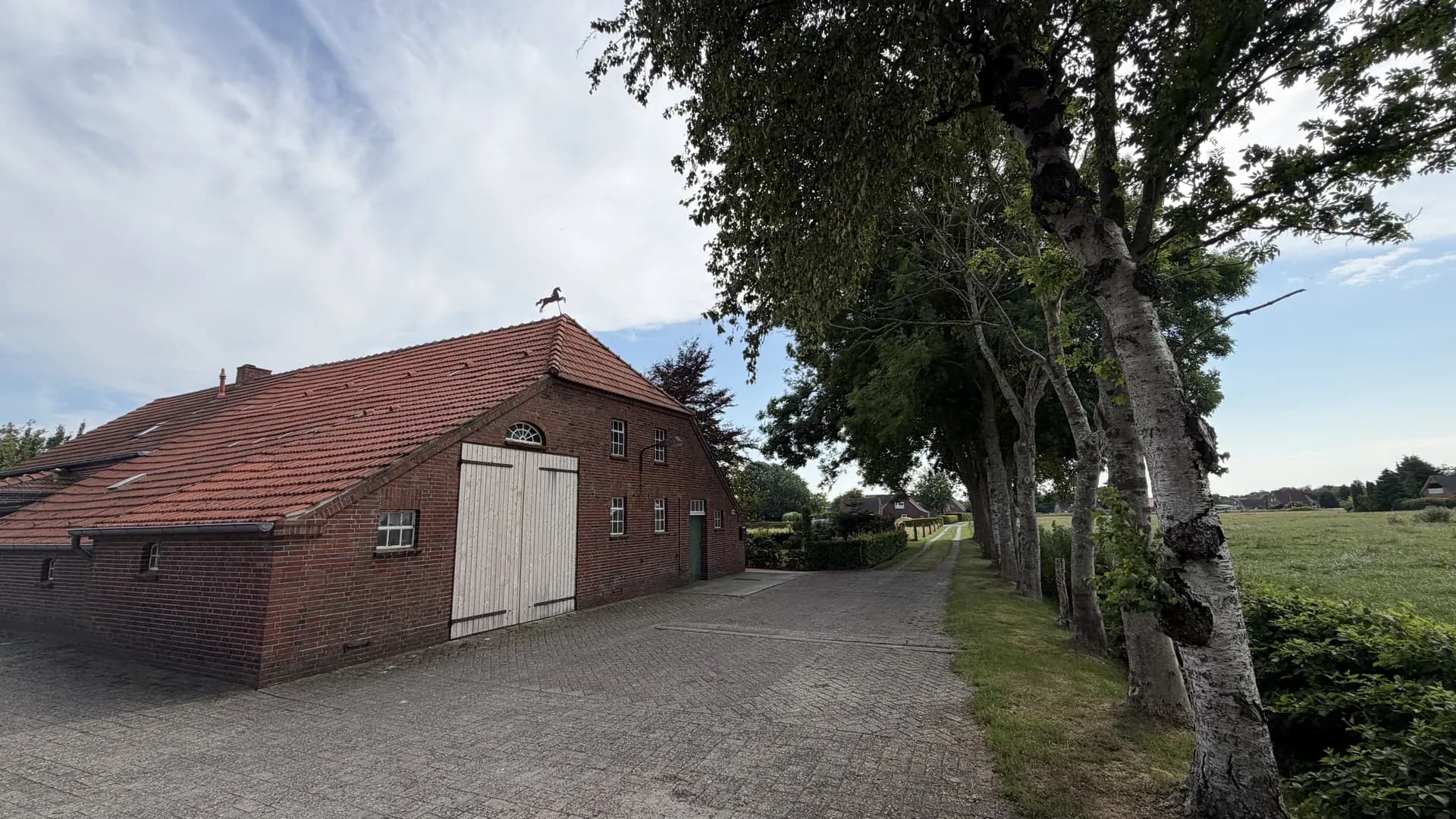 Gepflasterte Hofeinfahrt mit Baumallee an einem ostfriesischen Gulfhaus