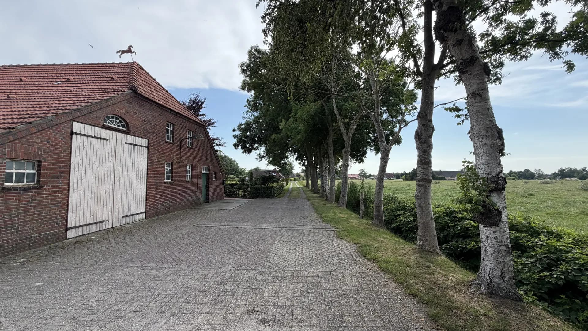 Gepflasterte Hofeinfahrt mit Backstein-Scheune, Baumallee und Weide in Ostfriesland
